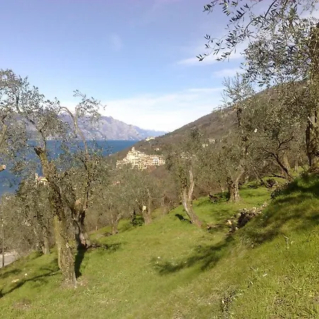Appartamenti Menapace Torri Del Benaco Esterno foto